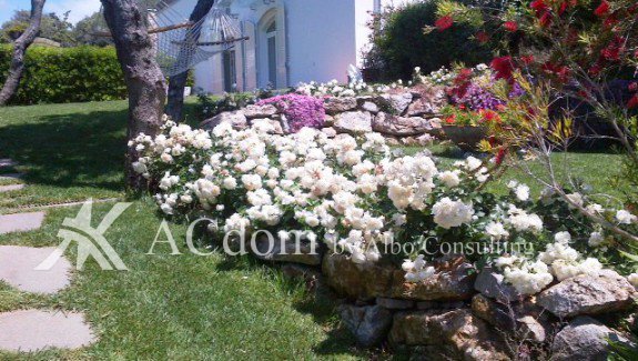 Вилла у моря в Тоскане - Италия - ACdom by Albo Consulting