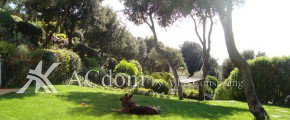 Красивая вилла в Тоскане - ACdom by Albo Consulting
